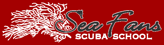 Sea Fans